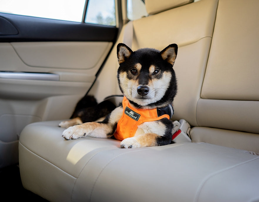 Sleepypod Terrain Plus Dog Harness - - Harness by Sleepypod