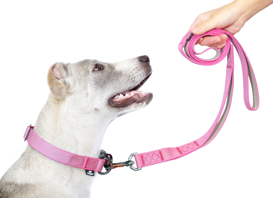 Sleepypod Power Leash - - Leash by Sleepypod
