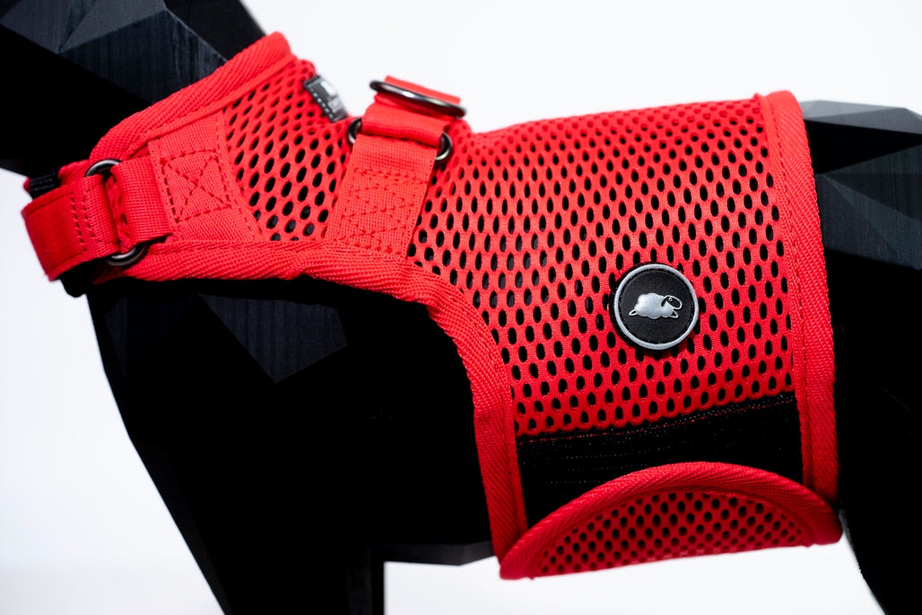 Sleepypod Martingale Cat Calming Harness - Strawberry Red Mesh - Harness by Sleepypod