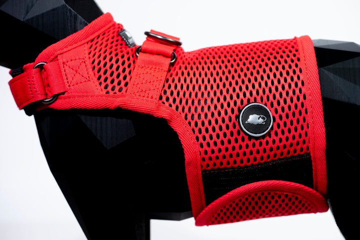 Sleepypod Martingale Cat Calming Harness - Strawberry Red Mesh - Harness by Sleepypod