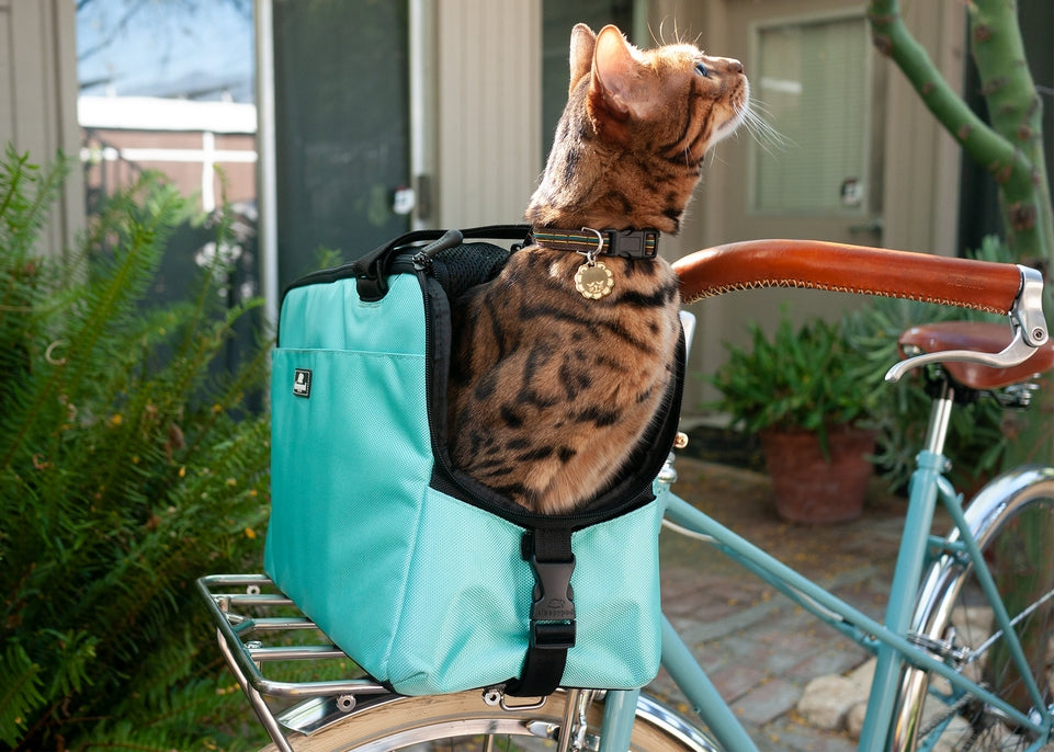 Sleepypod Atom Pet Carrier - - Pet Carrier by Sleepypod