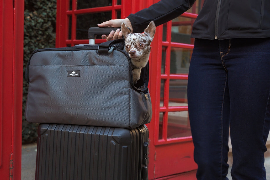 Sleepypod Atom Pet Carrier - - Pet Carrier by Sleepypod