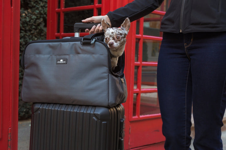 Sleepypod Atom Pet Carrier - - Pet Carrier by Sleepypod