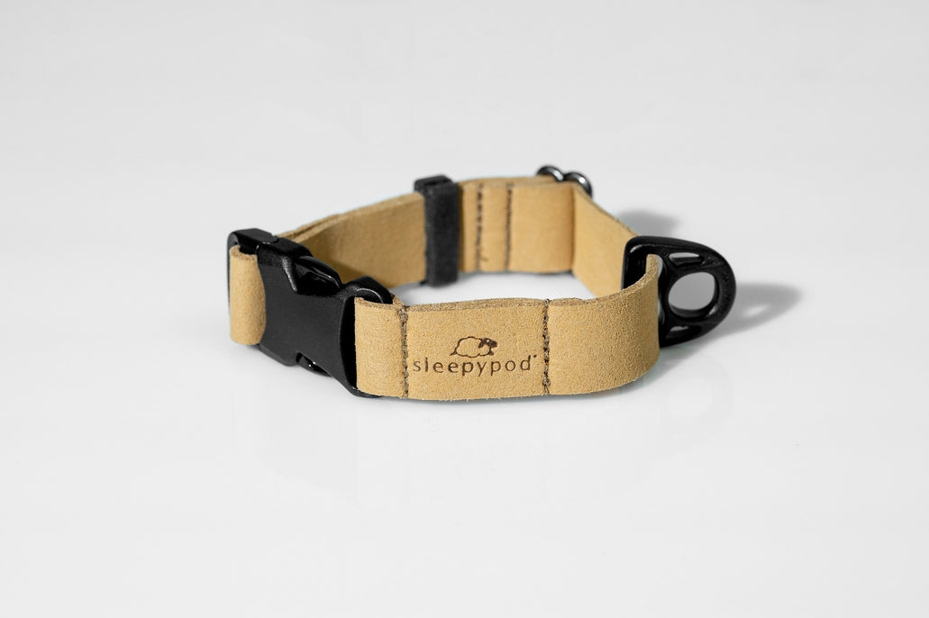 Sleepypod Comfort Suede Dog Collar - Sand Dune Suede - Collar by Sleepypod