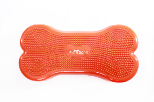 FitPAWS K9FITbone Dog Balance Traning Platform - Orange - Training by FitPAWS
