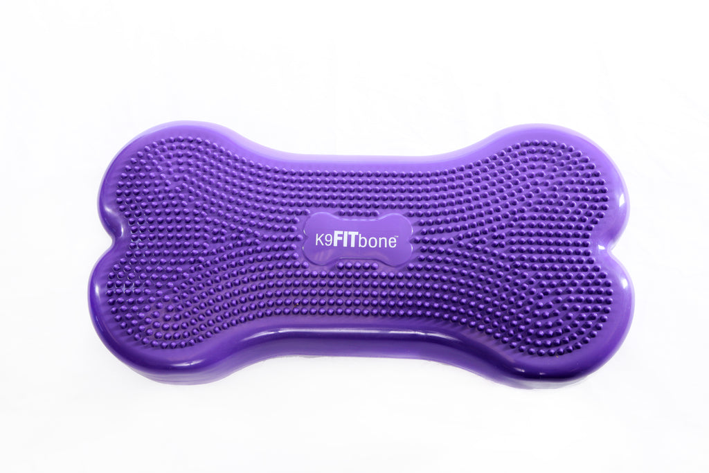 FitPAWS K9FITbone Dog Balance Traning Platform - Purple - Training by FitPAWS