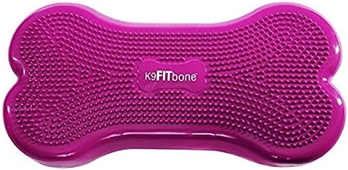 FitPAWS K9FITbone Dog Balance Traning Platform - Razzleberry - Training by FitPAWS