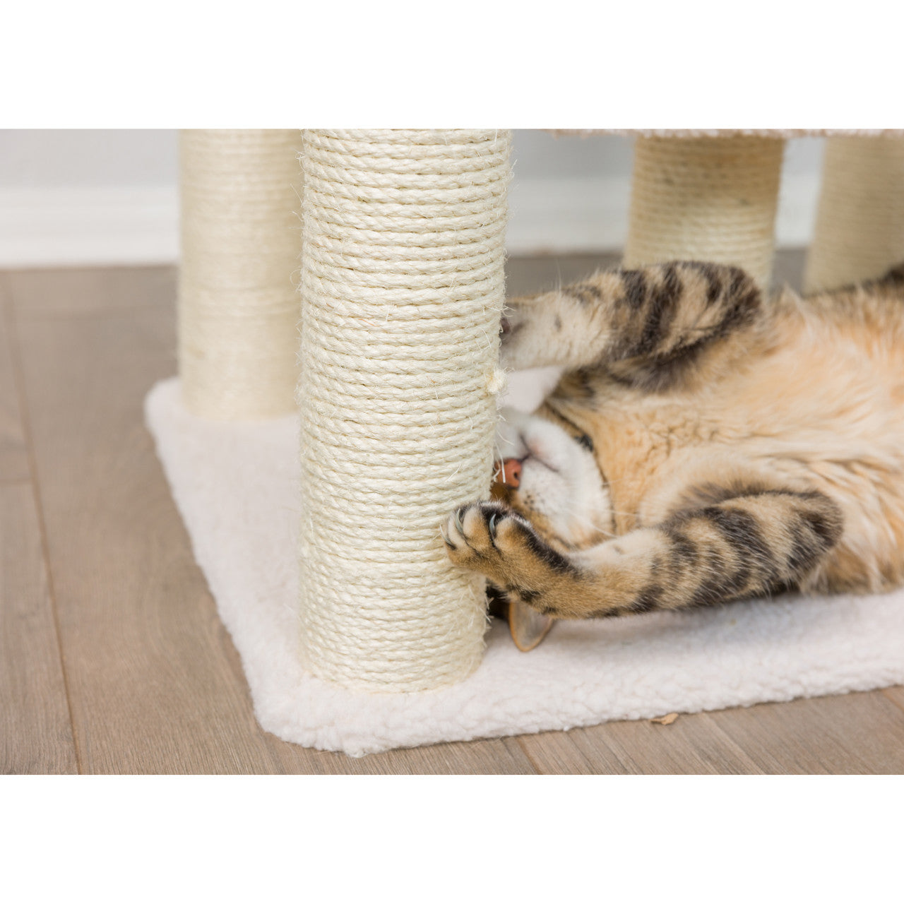 Armarkat 68" 6-Level Classic Cat Tree - Ivory - - Cat Tree by Armarkat