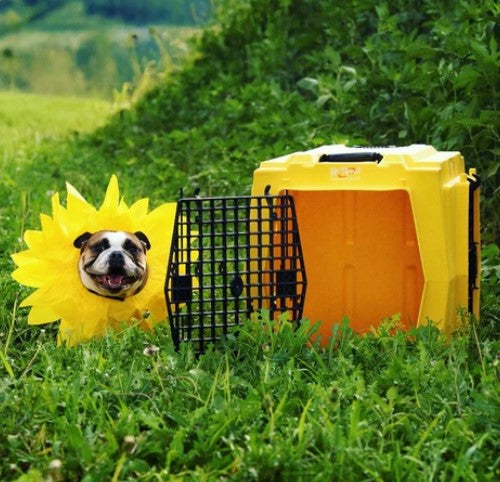 RuffLand Medium Kennel - - Dog crates by Ruff Land Performance Kennels