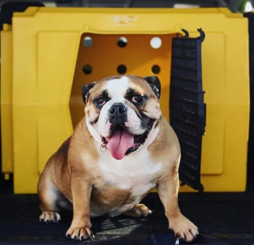 RuffLand Medium Kennel - - Dog crates by Ruff Land Performance Kennels