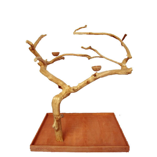 A&E Java Wood Tree - Large - Bird Play Stand by A&E