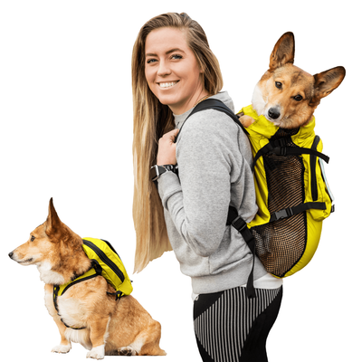 K9 Sport Sack Walk On with Harness Storage HappypetHQ