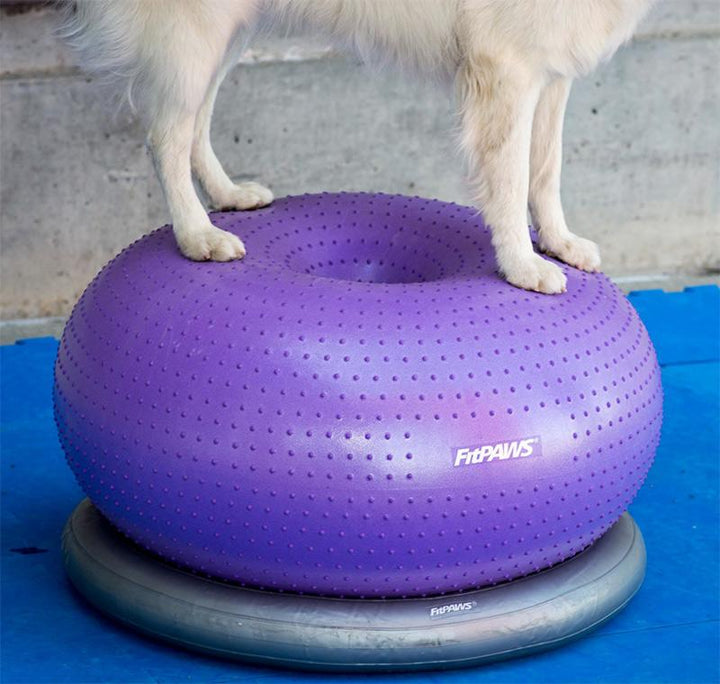 FitPAWS Circular Product Holder (For Trax Donut) - - Training by FitPAWS