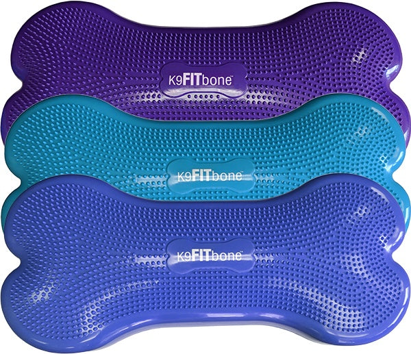 FitPAWS Giant K9FITbone Dog Balance Training Platform - - Training by FitPAWS