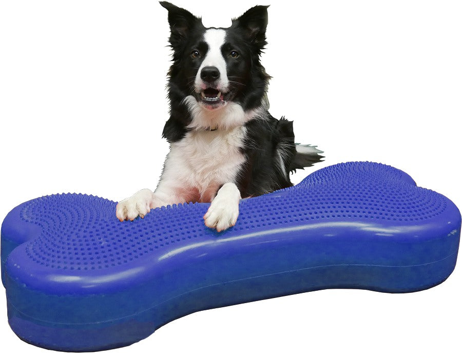 FitPAWS Giant K9FITbone Dog Balance Training Platform - - Training by FitPAWS
