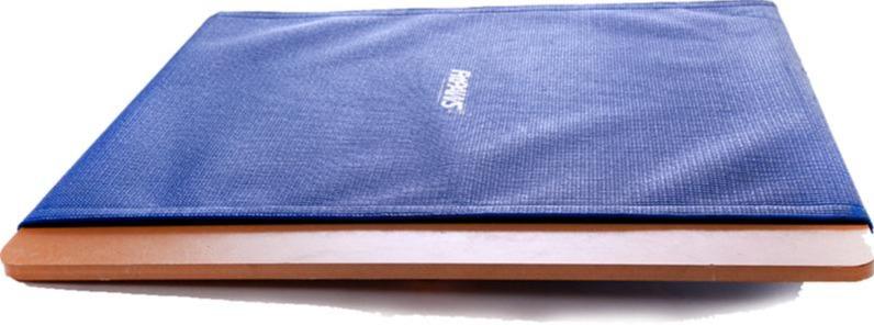 FitPAWS Giant Rocker Board - - Training by FitPAWS