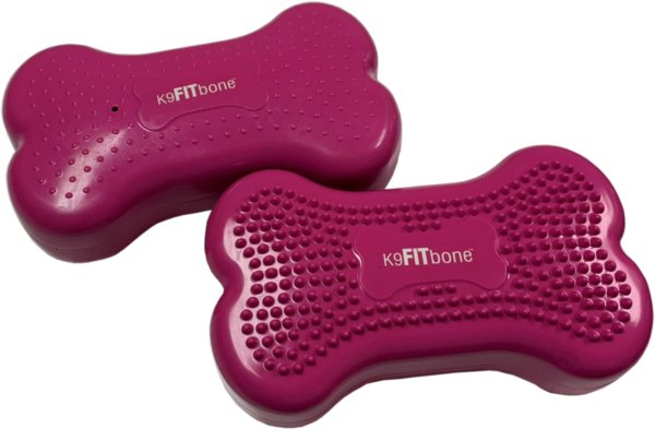 FitPAWS Mini K9FITbone Balance Training Platform (Set of 2) - Razzleberry - Training by FitPAWS