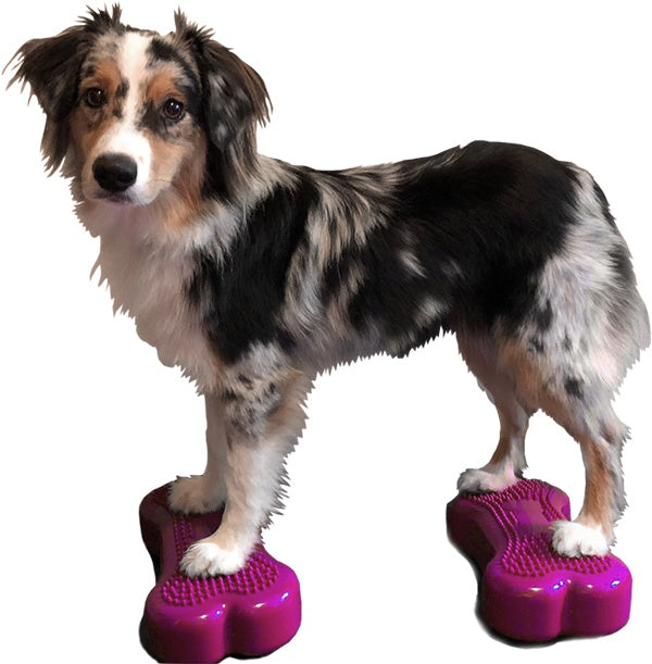 FitPAWS Mini K9FITbone Balance Training Platform (Set of 2) - - Training by FitPAWS