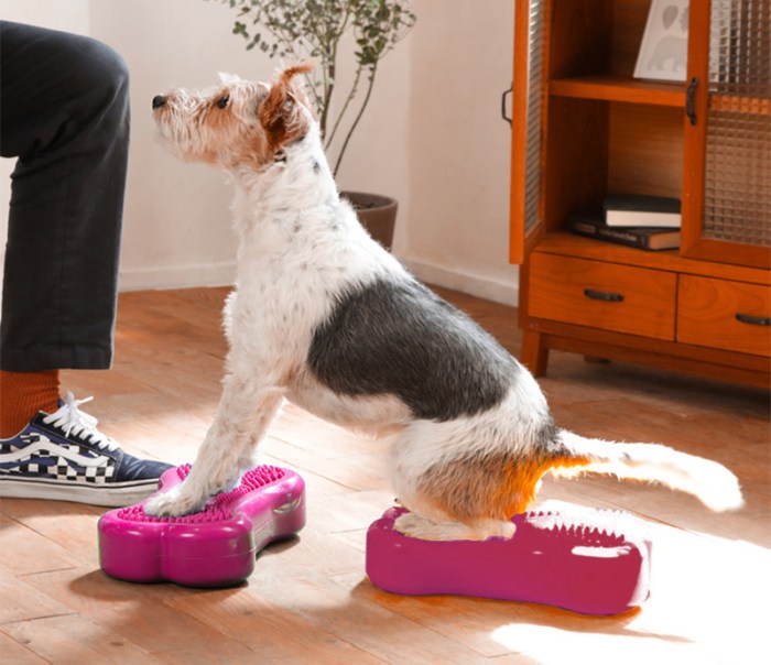 FitPAWS Mini K9FITbone Balance Training Platform (Set of 2) - - Training by FitPAWS