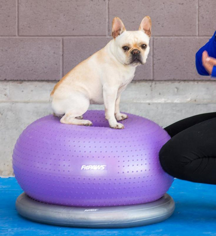 FitPaws TRAX™ Donut - - Training by FitPAWS