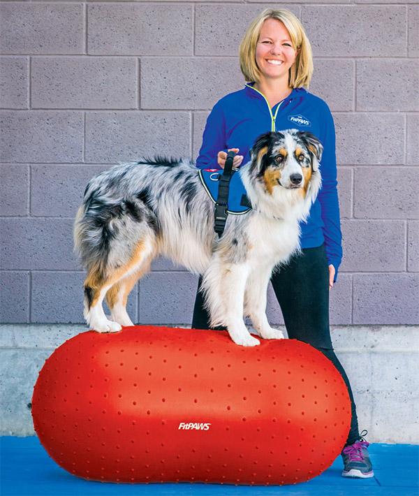 FitPAWS Trax Peanut Dog Training Platform - - Training by FitPAWS