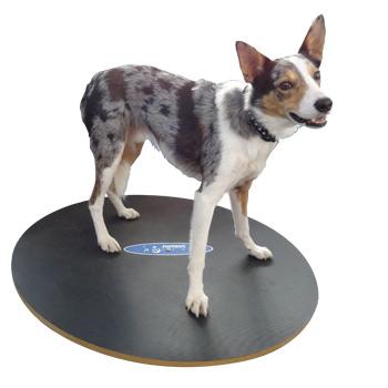 FitPAWS Wobble Board, Dog Balance Training Platform - - Training by FitPAWS