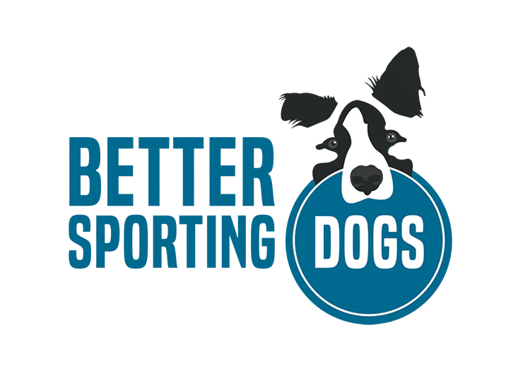 Better Sporting Dogs