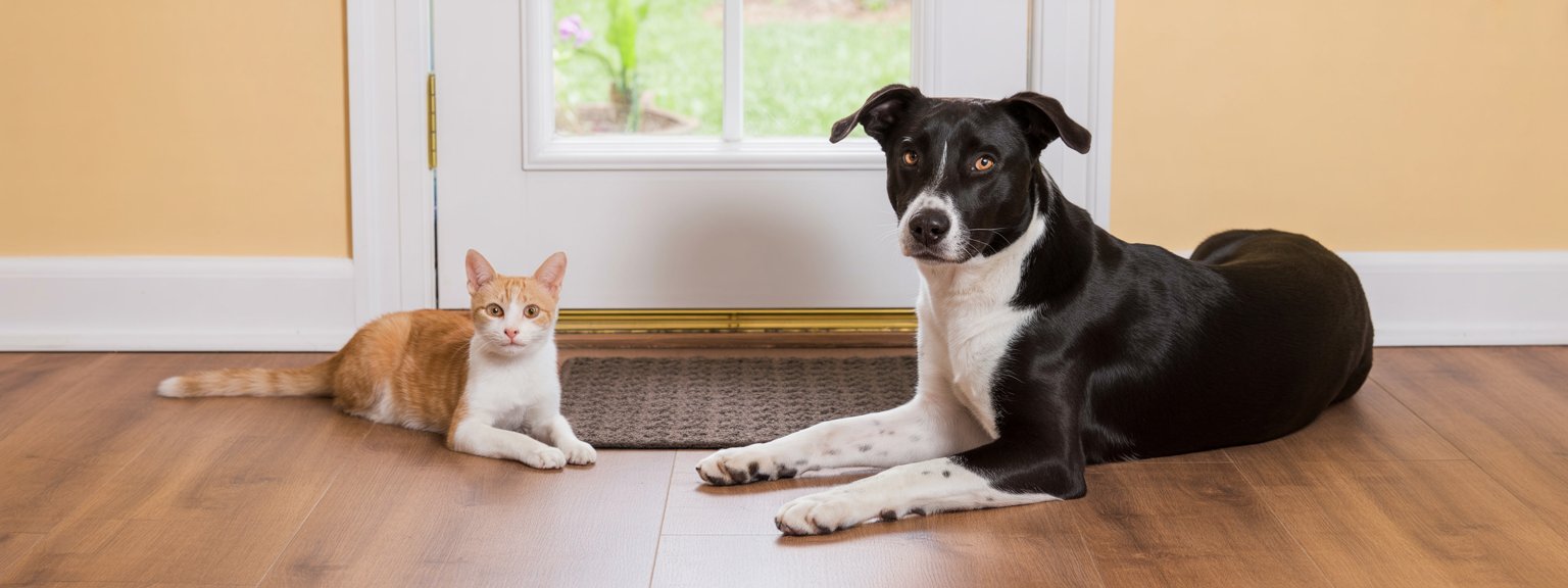 Power Pet Doors