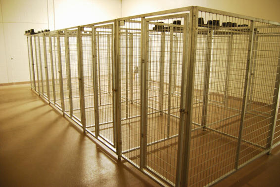 TK Products Complete 4’W x 6’L x 6’H Kennel Run w/ Stainless Steel Hardware - - Dog Kennels & Runs by TK Products