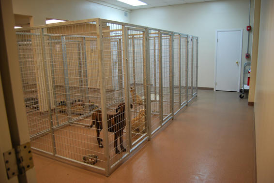 TK Products Complete 4’W x 6’L x 6’H Kennel Run w/ Stainless Steel Hardware - - Dog Kennels & Runs by TK Products