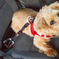 Curli Car Safety Belt