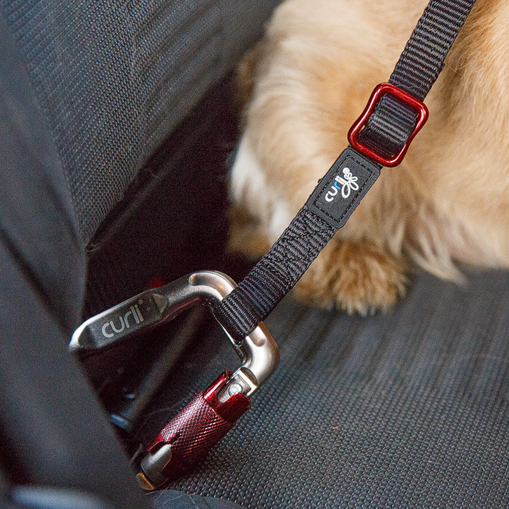 Curli Car Safety Belt