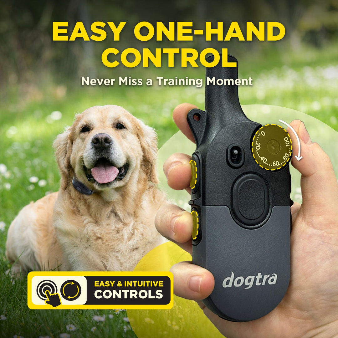 Dogtra 200iQ 1-DOG Unit - - Training collars by Dogtra