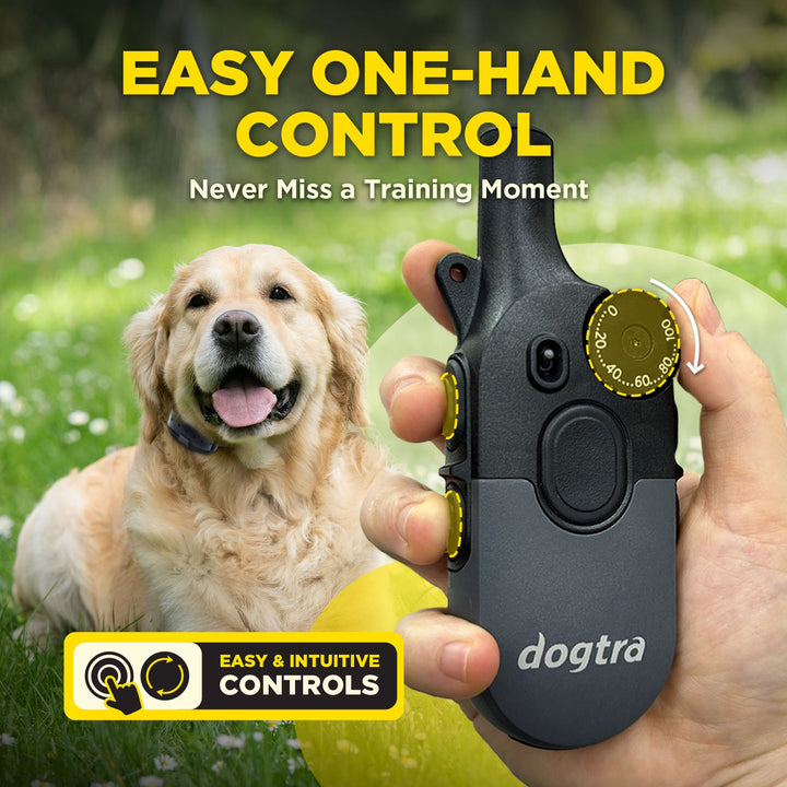 Dogtra 200iQ 1-DOG Unit - - Training collars by Dogtra