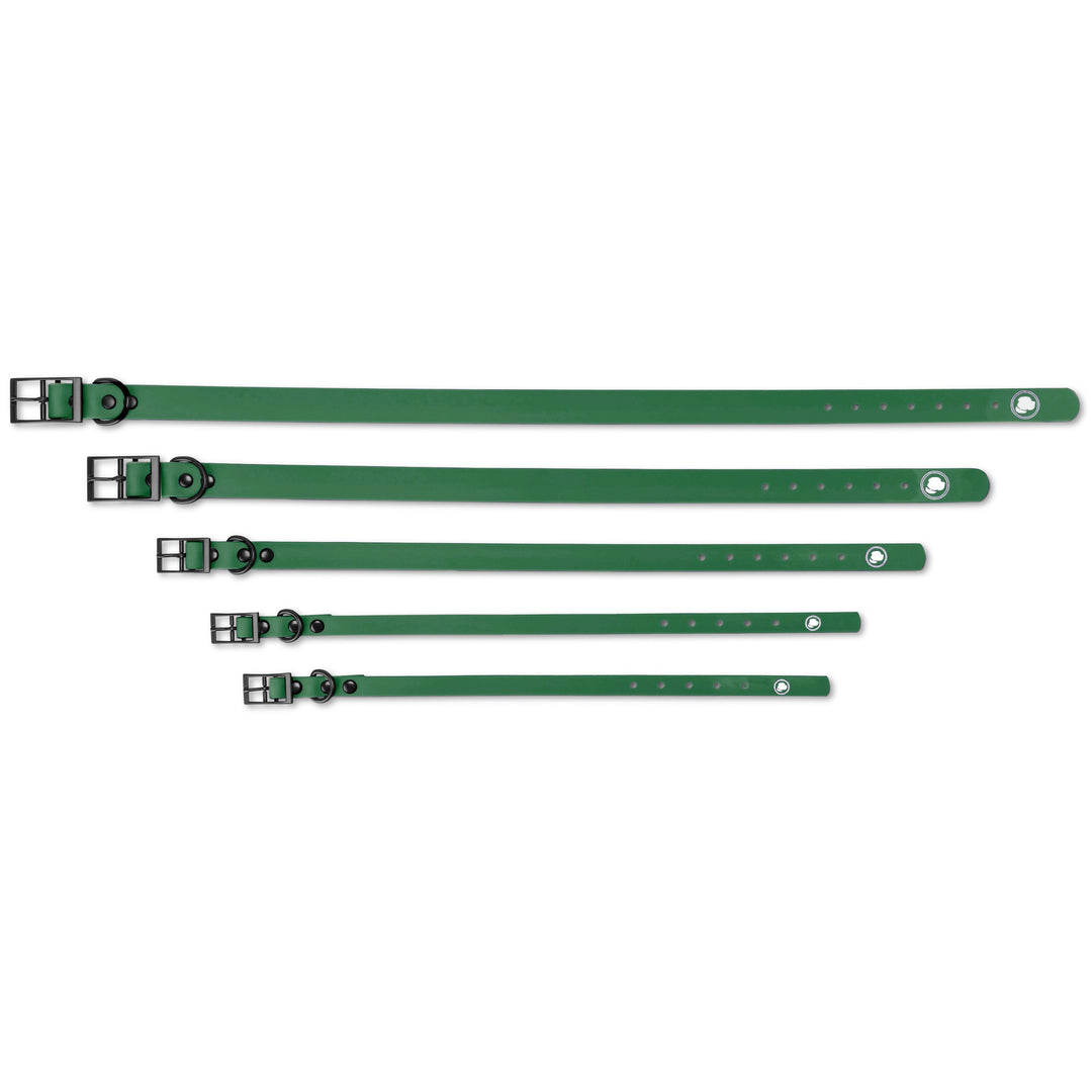 The Modern Dog Company - Clover Green Collar (Weather + Odor Resistant) - - by The Modern Dog Company Store