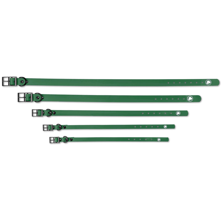 The Modern Dog Company - Clover Green Collar (Weather + Odor Resistant) - - by The Modern Dog Company Store