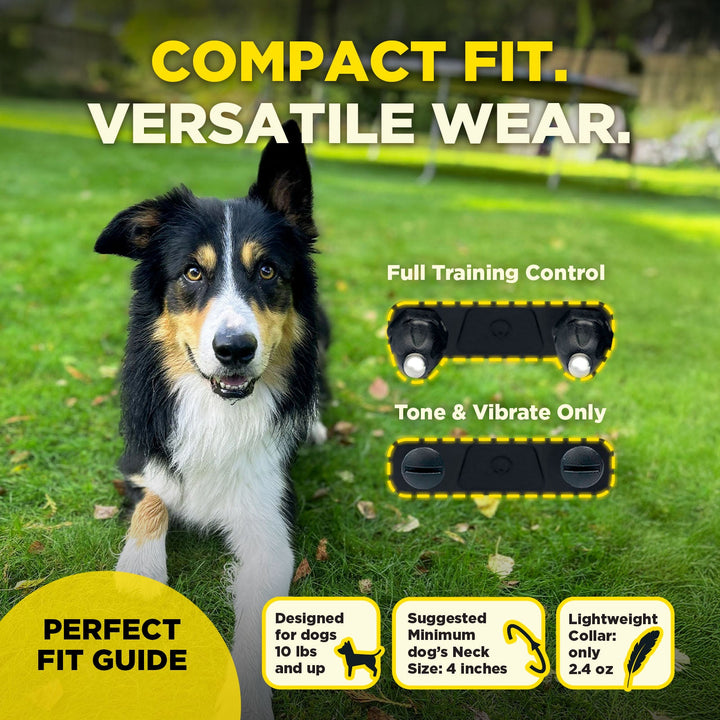 Dogtra 200iQ 1-DOG Unit - - Training collars by Dogtra