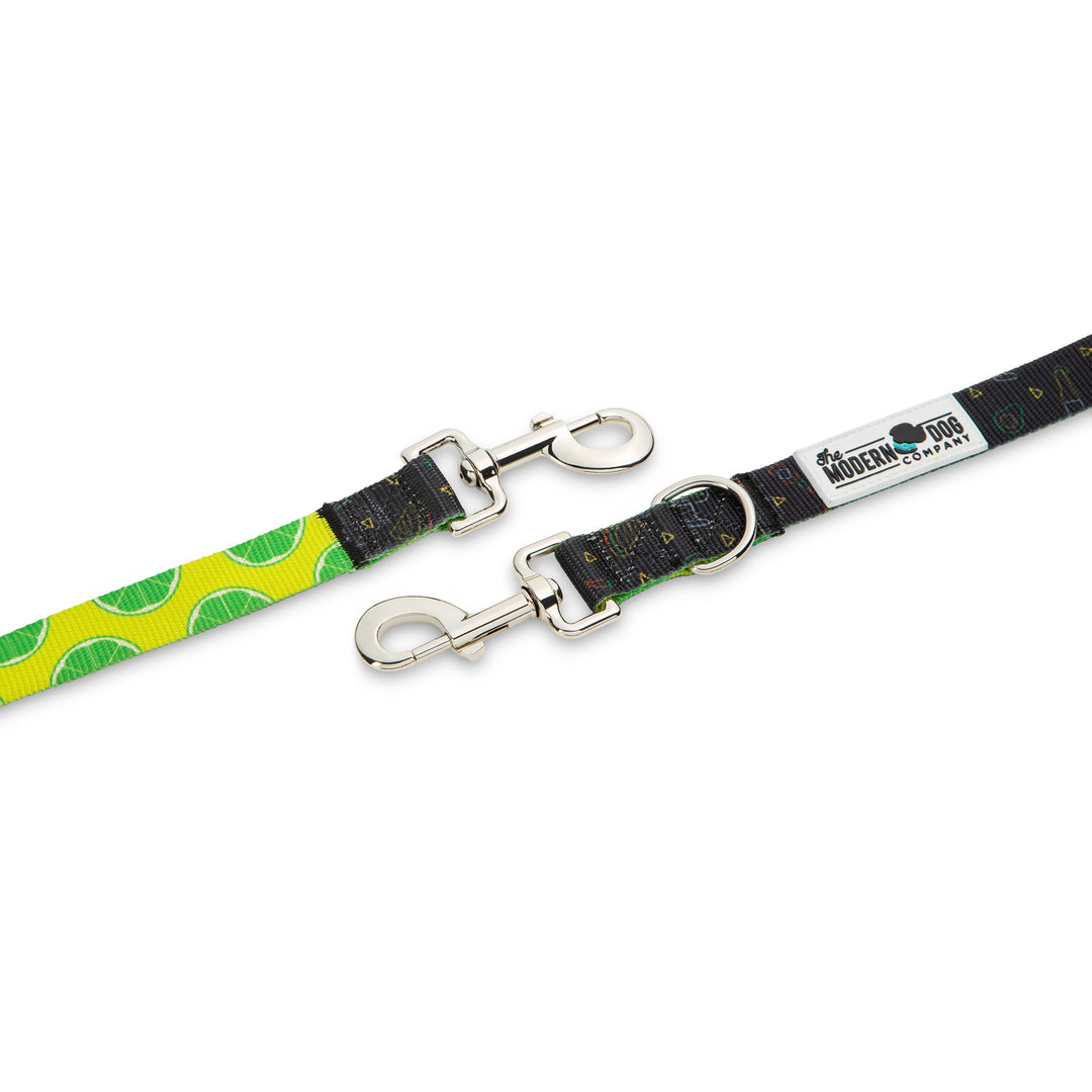 The Modern Dog Company - Retro Taco Tuesday Leash - - by The Modern Dog Company Store