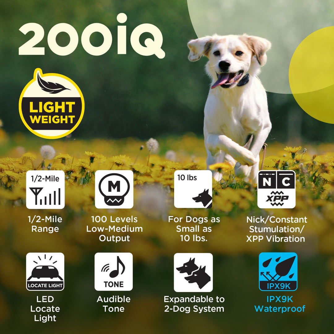 Dogtra 200iQ 1-DOG Unit - - Training collars by Dogtra