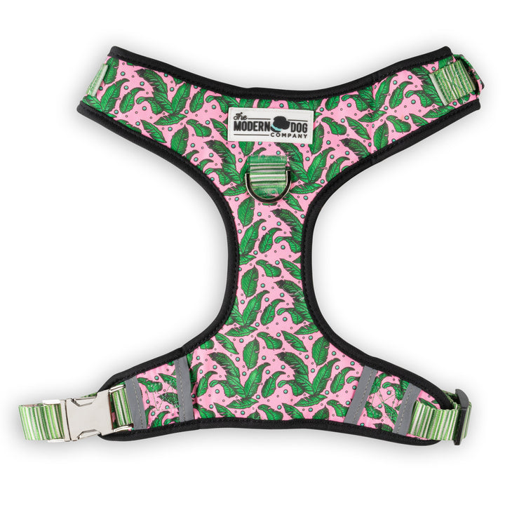 The Modern Dog Company - Pink Tropics Harness - - by The Modern Dog Company Store
