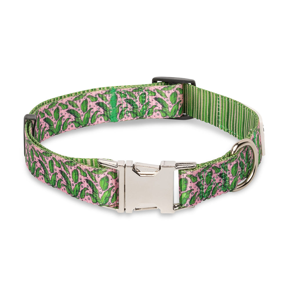The Modern Dog Company - Pink Tropics Collar - - by The Modern Dog Company Store
