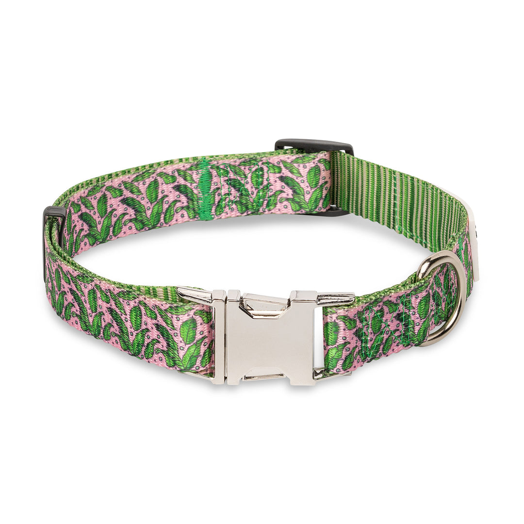 The Modern Dog Company - Pink Tropics Collar - - by The Modern Dog Company Store