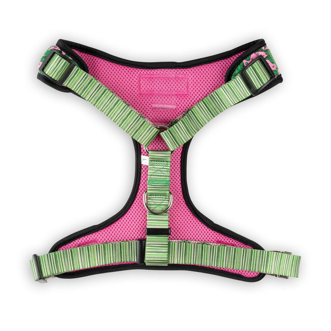 The Modern Dog Company - Pink Tropics Harness - - by The Modern Dog Company Store