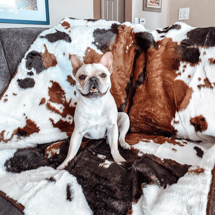 PupProtector™ Waterproof Throw Blanket - Brown Faux Cowhide - - Dog Blanket by Paw.com