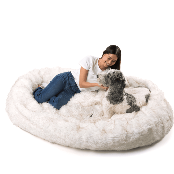 PupCloud™ Human-Size Faux Fur Memory Foam Dog Bed - White with Brown Accents - - by Paw.com