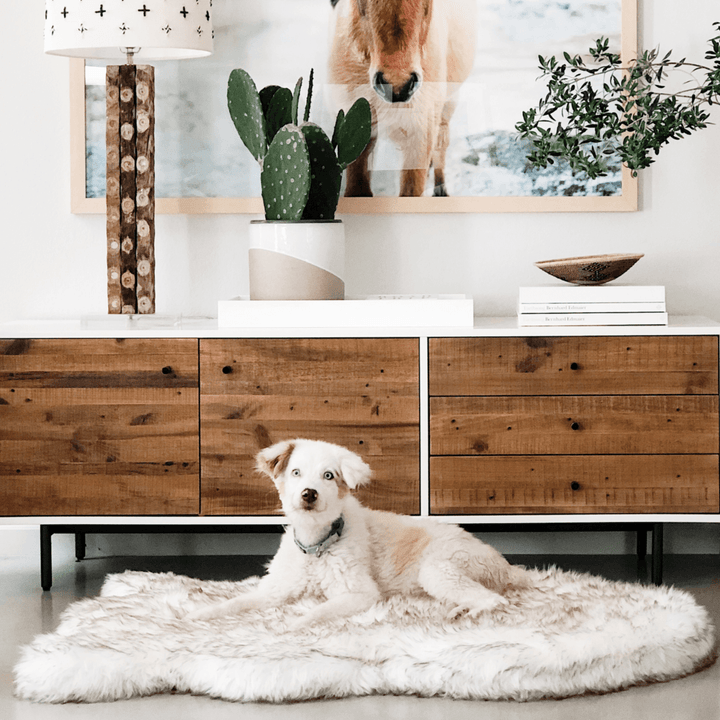 PupRug by Paw.com® Faux Fur Orthopedic Dog Bed - Curve White with Brown Accents - - Dog Beds by Paw.com
