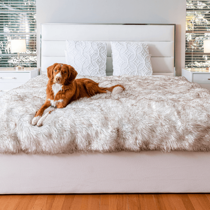 PupProtector™ Waterproof Throw Blanket - White with Brown Accents - - Dog Blanket by Paw.com