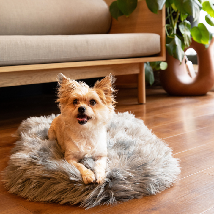 PupRug by Paw.com® Faux Fur Orthopedic Dog Bed - Curve Charcoal Grey - - Dog Beds by Paw.com