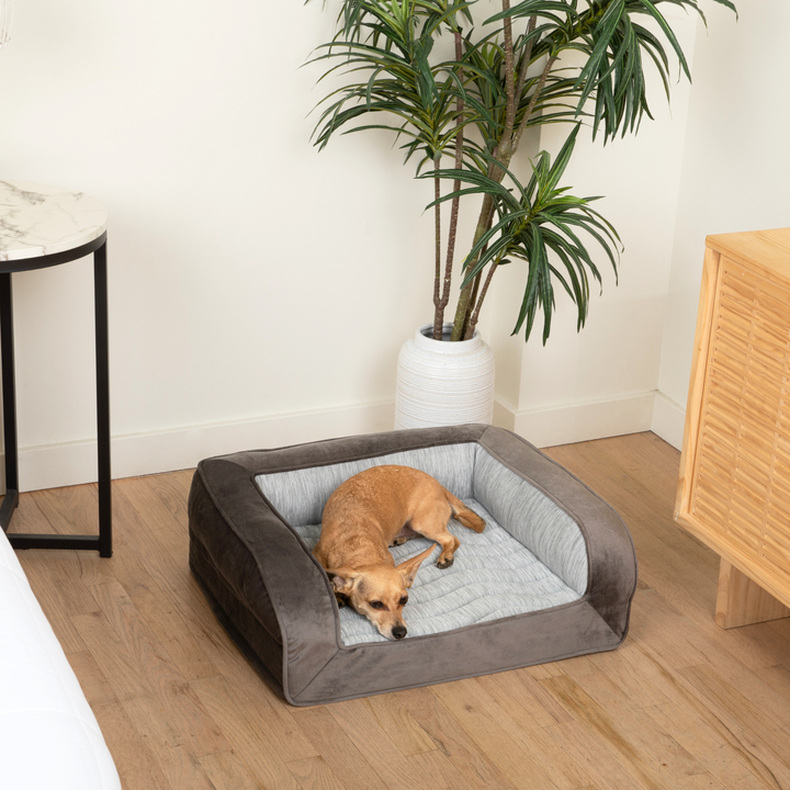 PupChill™ Cooling Bolster Dog Bed - - by Paw.com