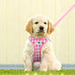 Curli Vest Harness Air-Mesh & Leash